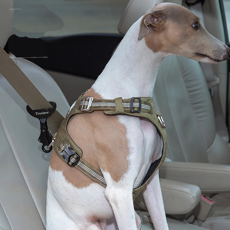 Ceinture de Sécurité Voiture Universelle pour Chien