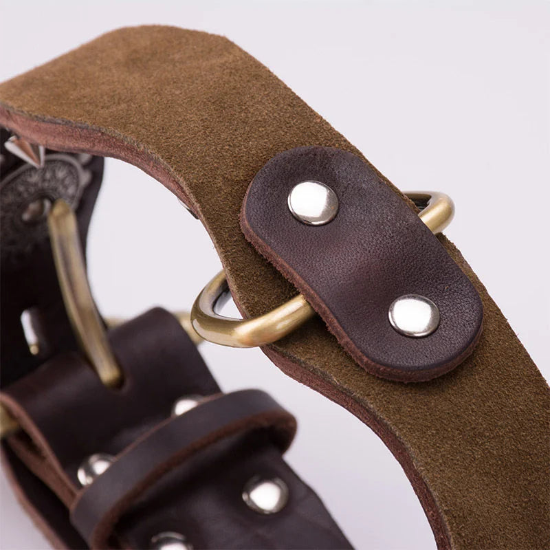Collier en Cuir Vintage Clouté pour Chien