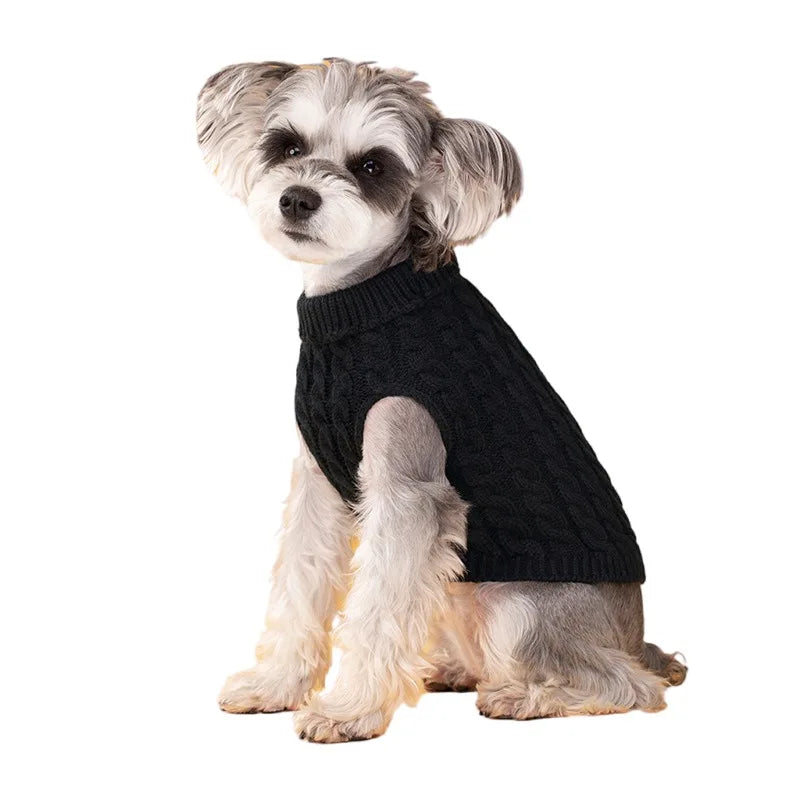 Pull Torsadé Chaud pour Petit Chien