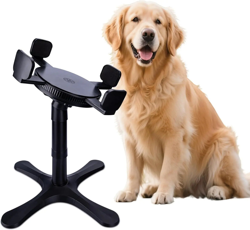 Support Surélevé pour Gamelles de Chien - 3 Hauteurs Réglables