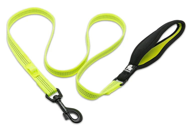 Laisse Réfléchissante Nylon Renforcée pour Chien