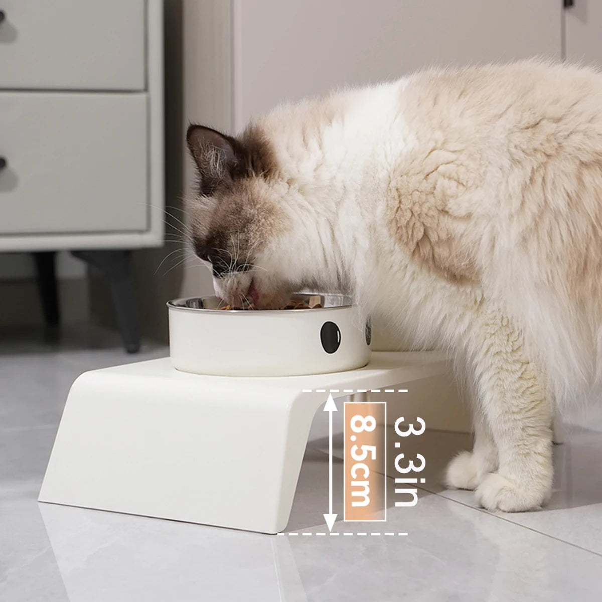 Gamelles Surélevées pour Chien et Chat