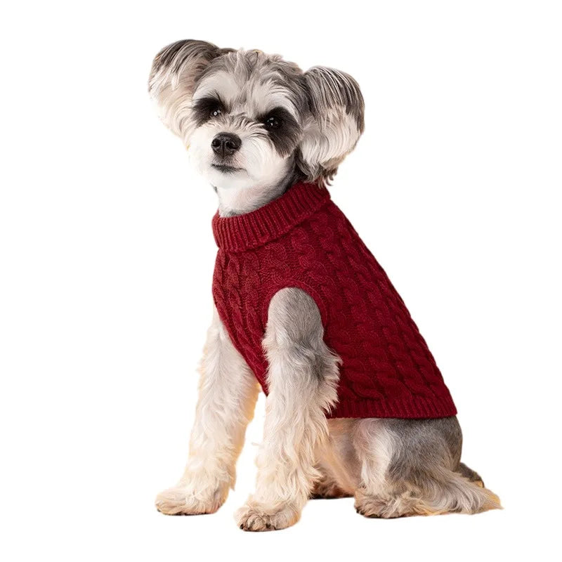 Pull Torsadé Chaud pour Petit Chien