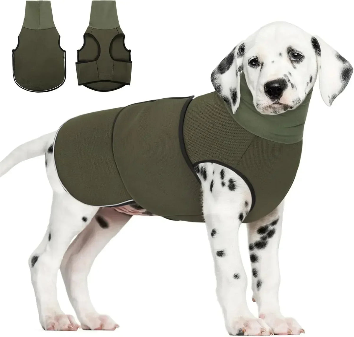 Gilet Anti-Anxiété pour Chien - Effet Enveloppant Thundershirt