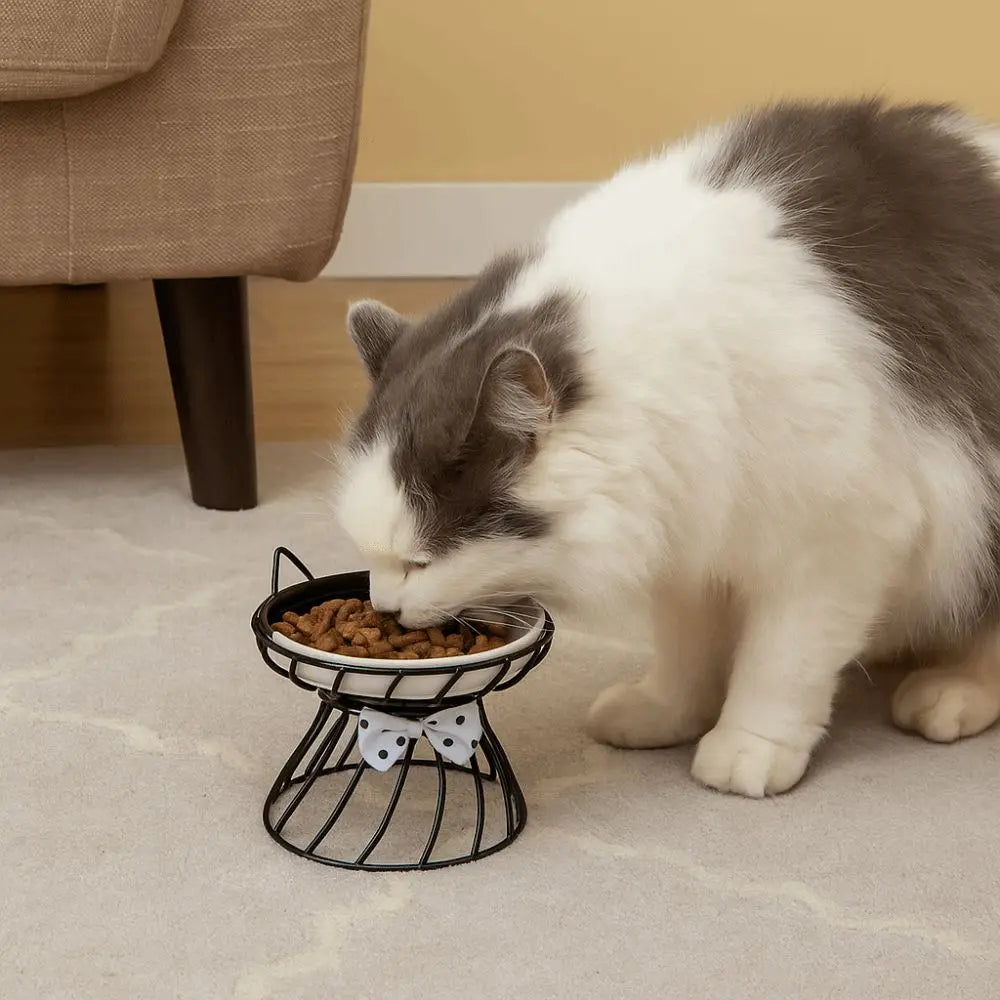 Gamelle Céramique Surélevée Antidérapante pour Chat et Chien