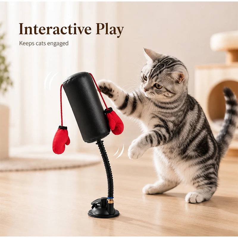 Jouet Boxe Interactif pour Chat