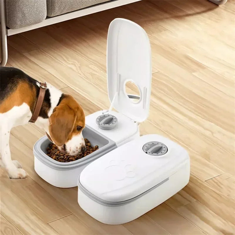 Distributeur Gravité Croquettes et Eau pour Chien et Chat