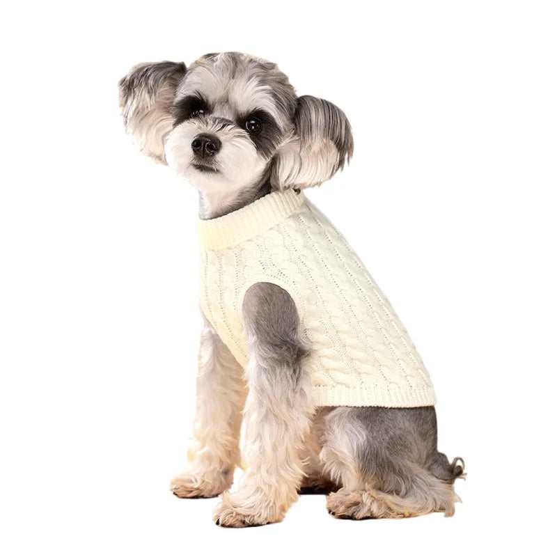 Pull Torsadé Chaud pour Petit Chien