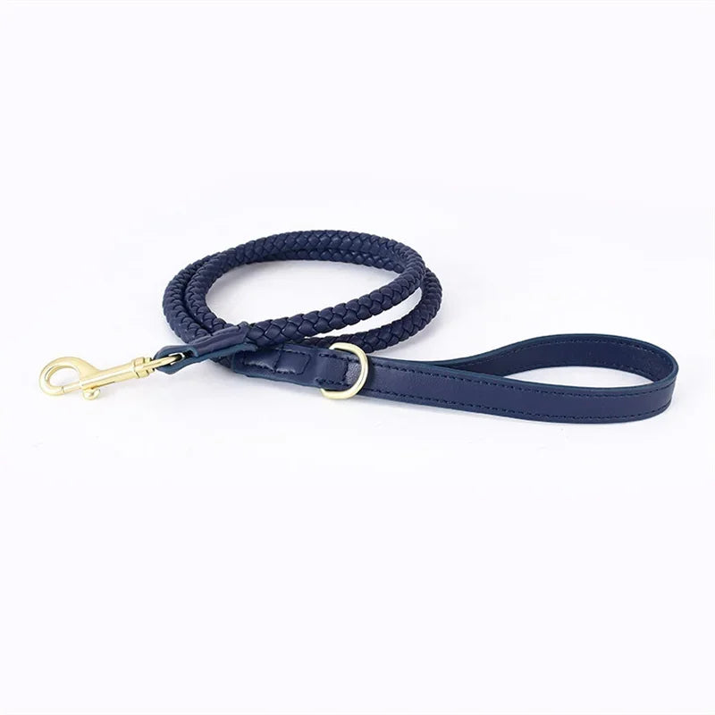 Collier en Cuir Fashion pour Chien Moyen