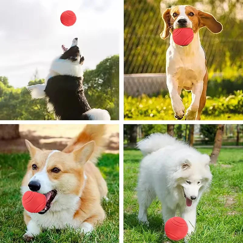 Balle Rebondissante Indestructible pour Chien