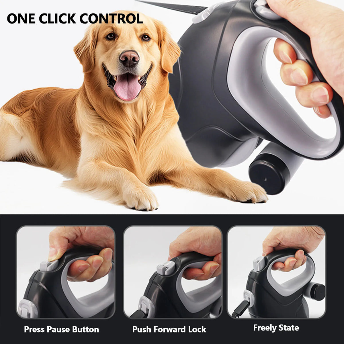 Laisse Rétractable 10m avec Distributeur de Sacs pour Chien