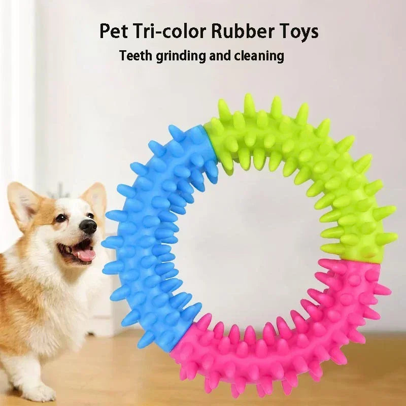 Jouet Frisbee Anneau à Picots Nettoyage Dentaire pour Chien