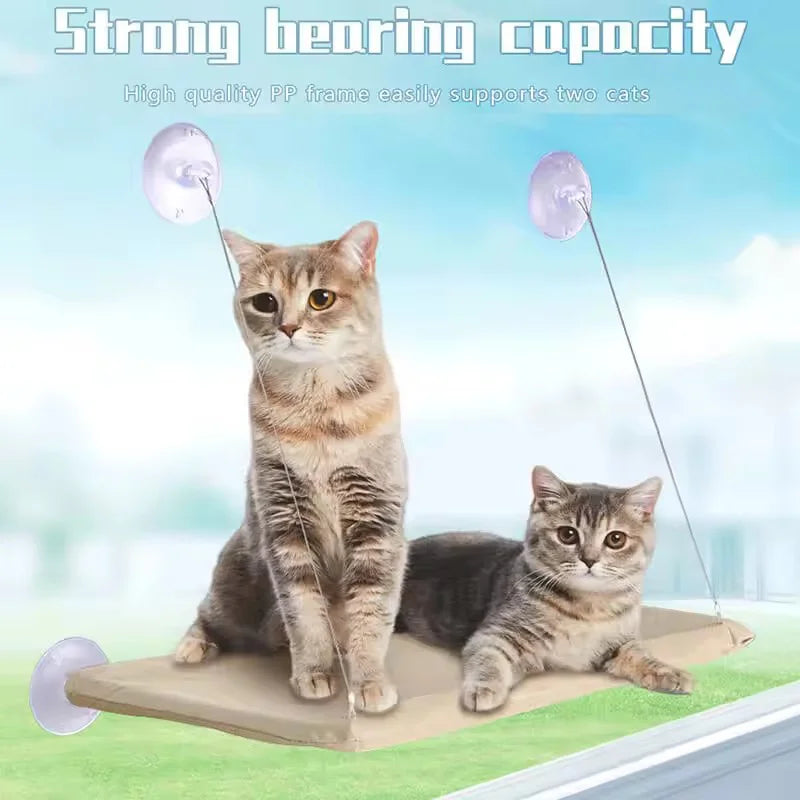 Hamac de Fenêtre pour Chat - Ventouses Puissantes