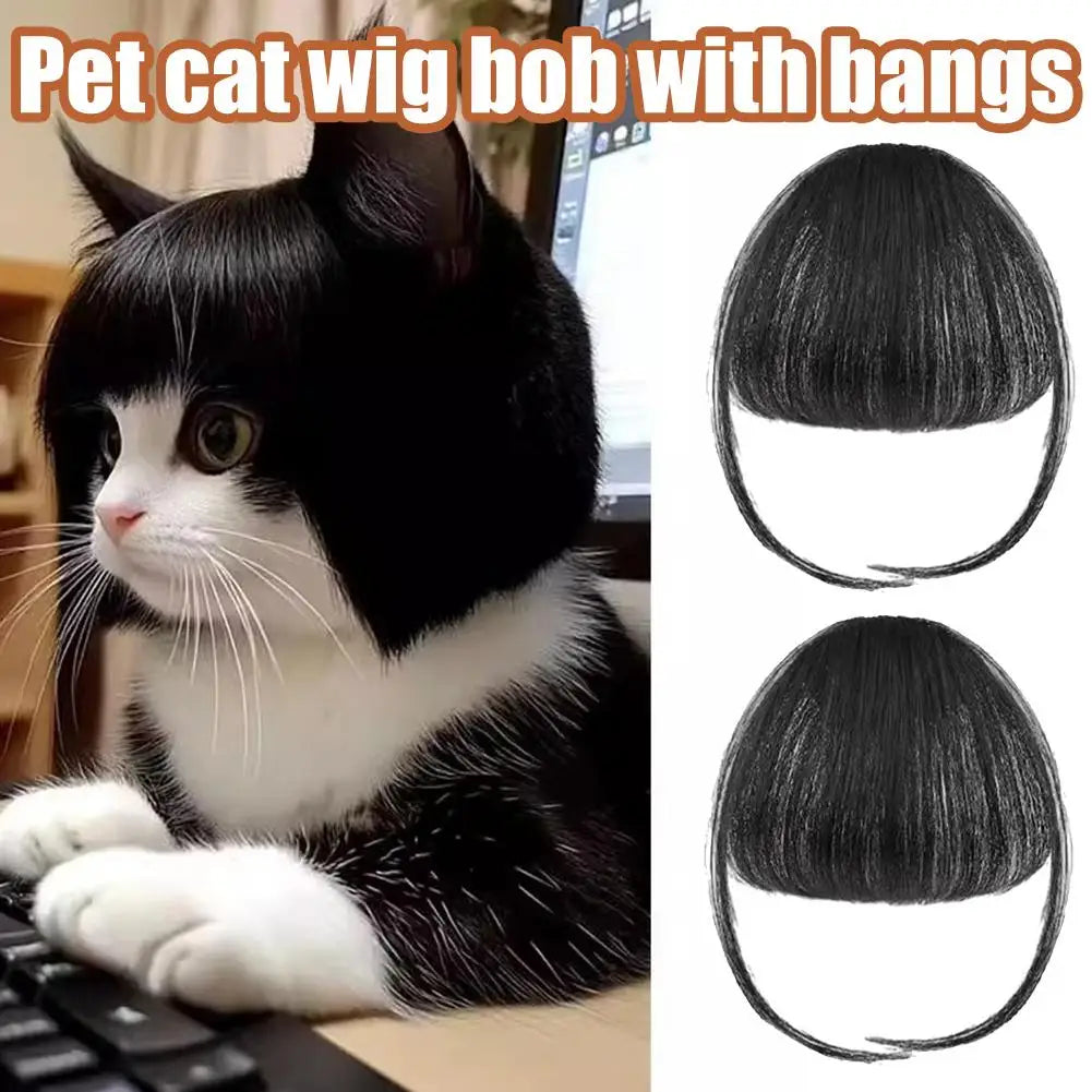 Perruque Déguisement Cosplay pour Chien et Chat