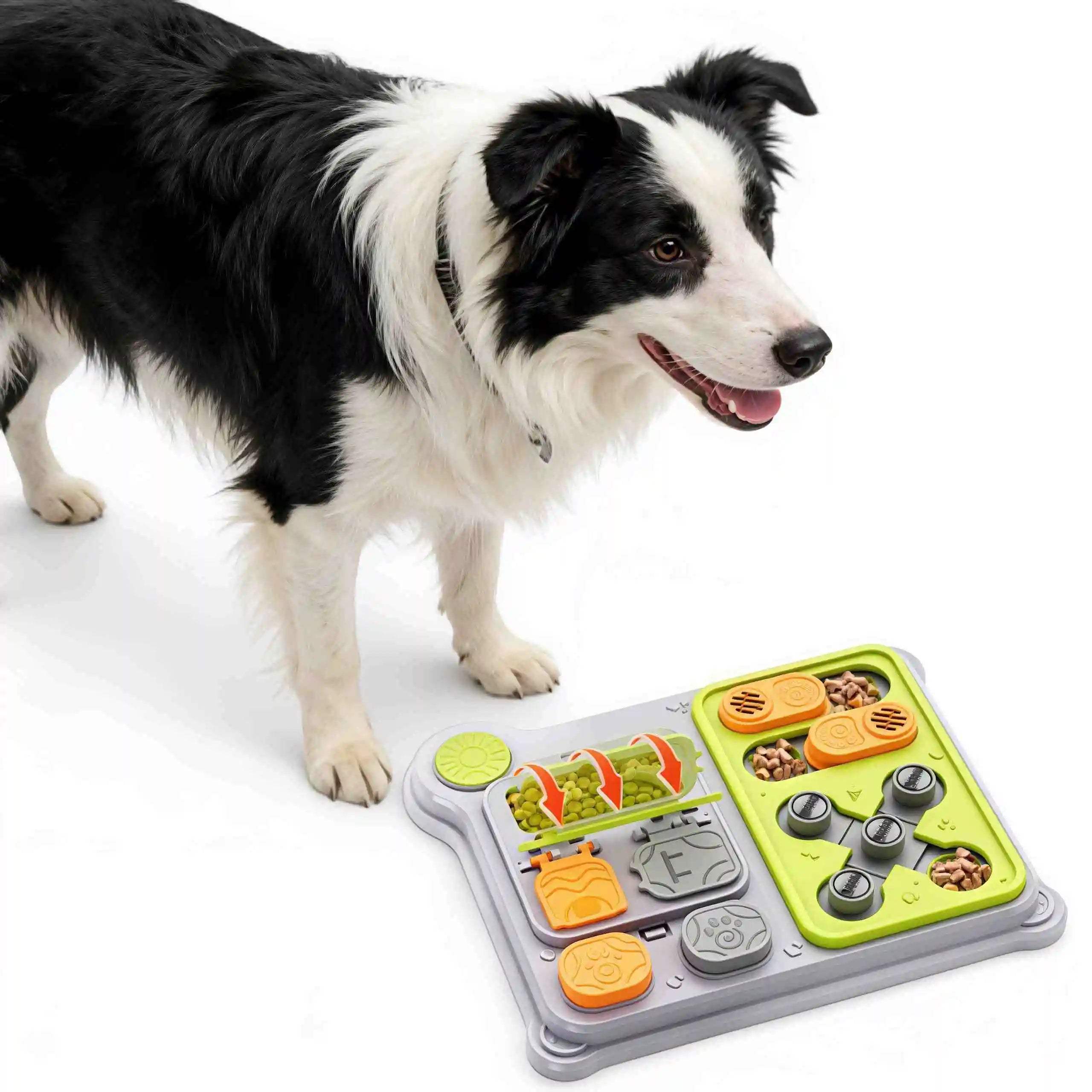 Distributeur de Friandises Interactif pour Chien - Stimulation Mentale