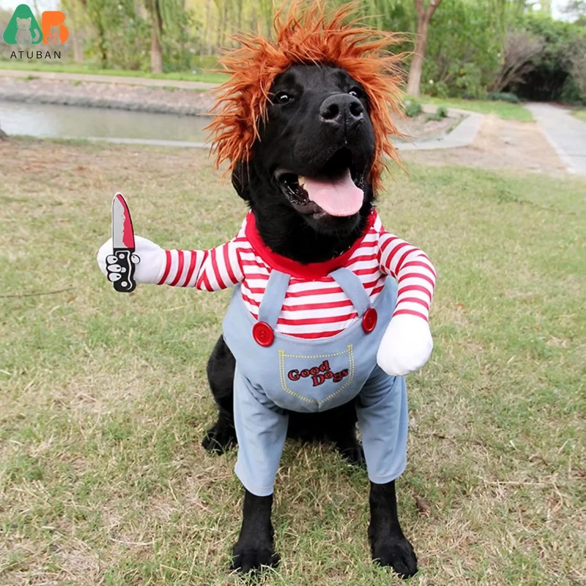 Déguisement Rigolo pour Chien - Costume de Fête Halloween/Noël