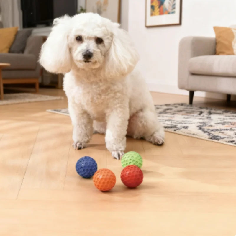 Balle à Mâcher Indestructible en Caoutchouc pour Chien