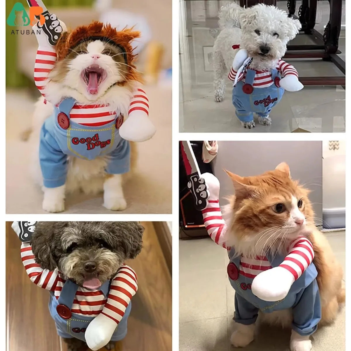 Déguisement Rigolo pour Chien - Costume de Fête Halloween/Noël