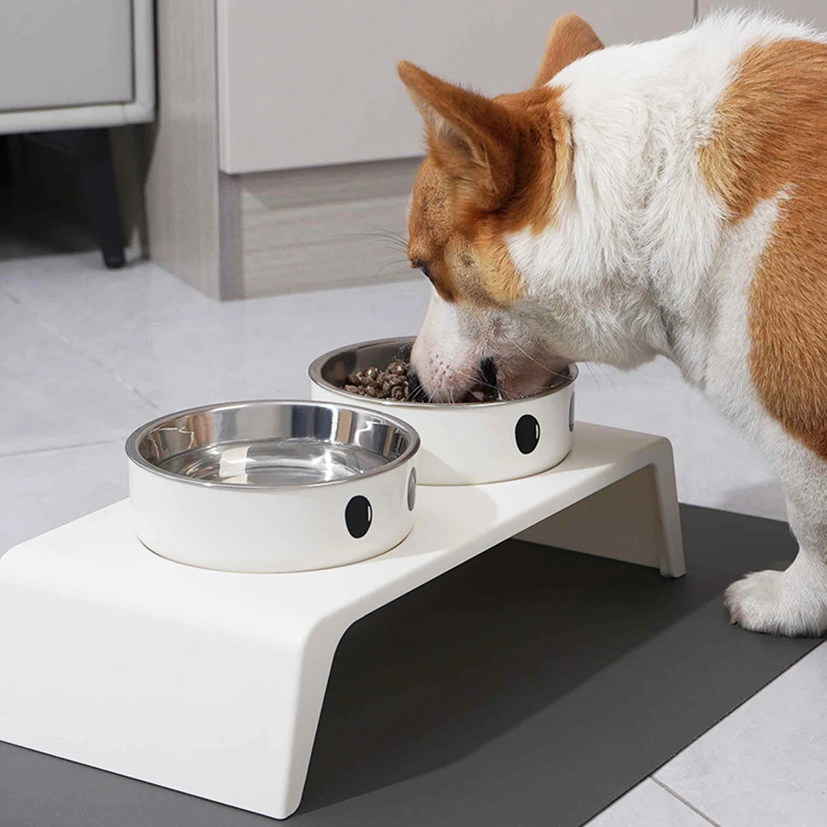 Gamelles Surélevées pour Chien et Chat