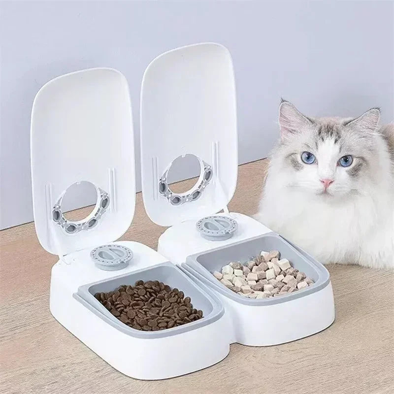 Distributeur Gravité Croquettes et Eau pour Chien et Chat