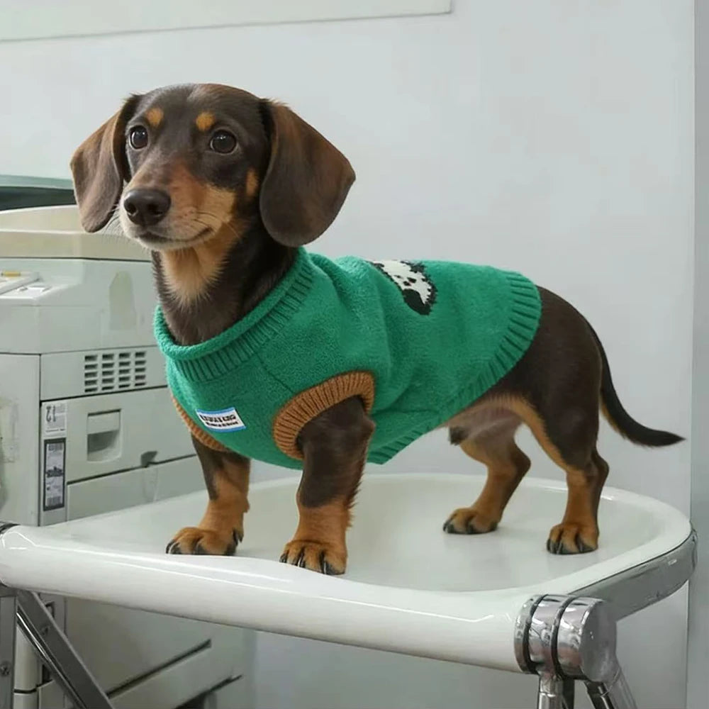 Pull Tricoté pour Chien - Teckel &amp; Petites Races