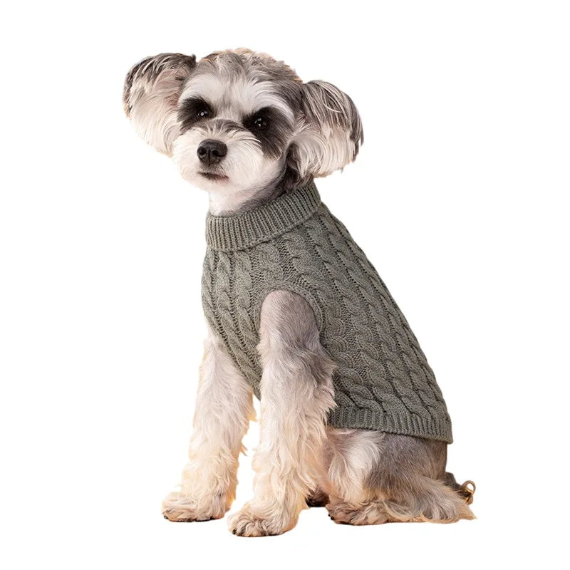 Pull Torsadé Chaud pour Petit Chien