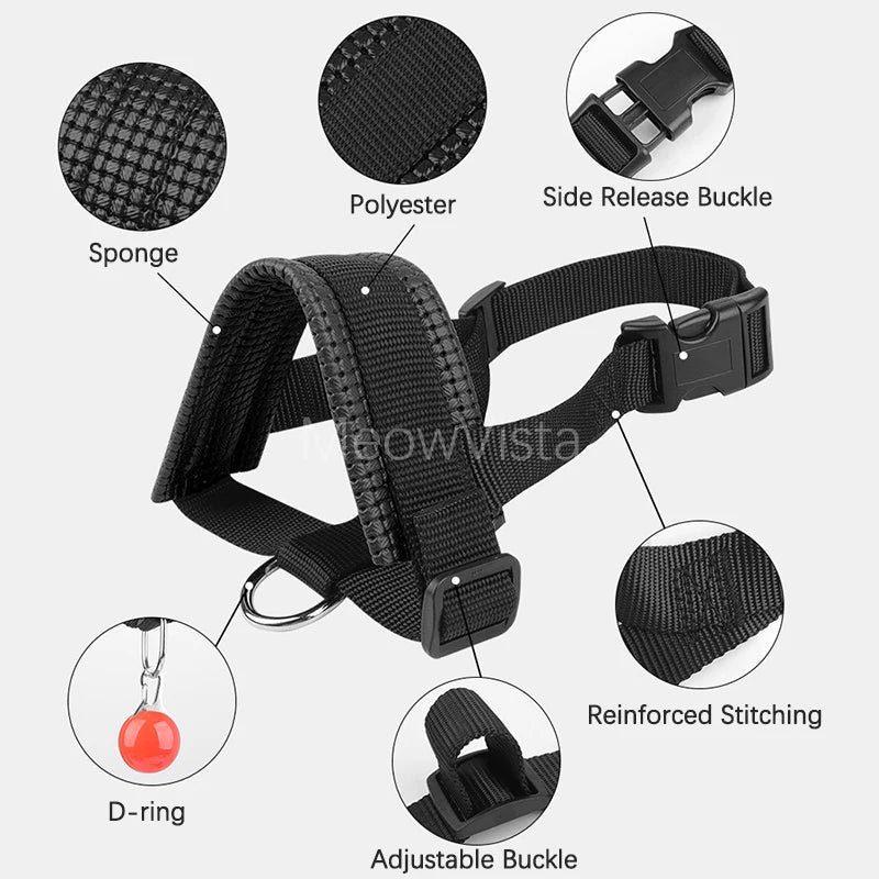 Muselière Ajustable Rembourrée pour Chien