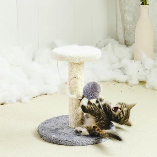Arbre à Chat avec Balles Interactives