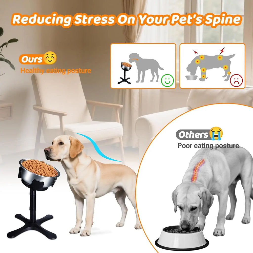 Support Surélevé pour Gamelles de Chien - 3 Hauteurs Réglables