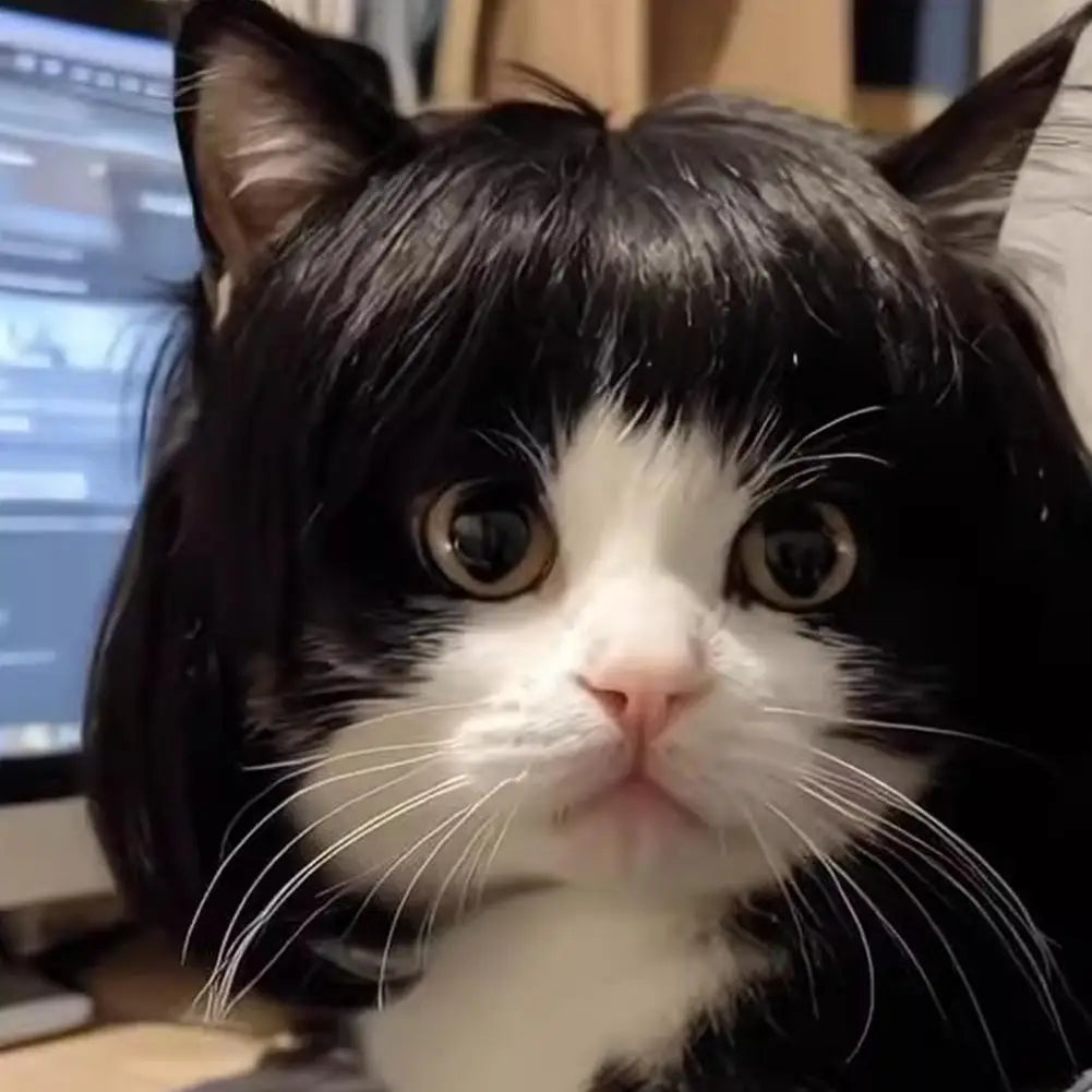 Perruque Déguisement Cosplay pour Chien et Chat