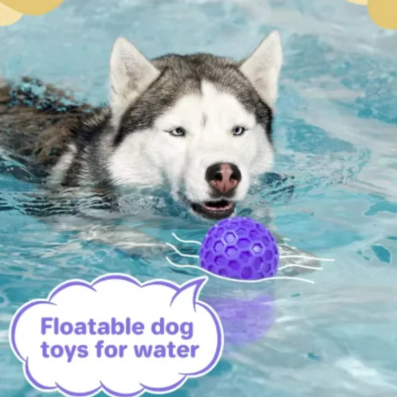 Balle à Mâcher Indestructible en Caoutchouc pour Chien
