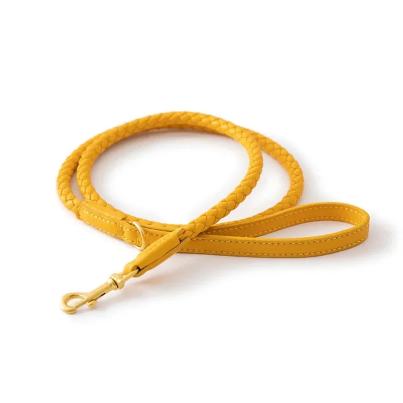 Collier en Cuir Fashion pour Chien Moyen
