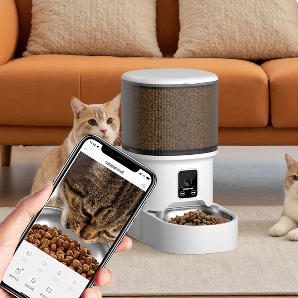 Distributeur Croquettes et Fontaine Connectés Chien Chat