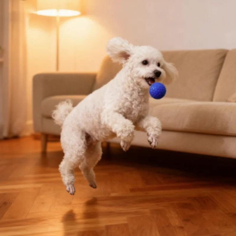 Balle à Mâcher Indestructible en Caoutchouc pour Chien