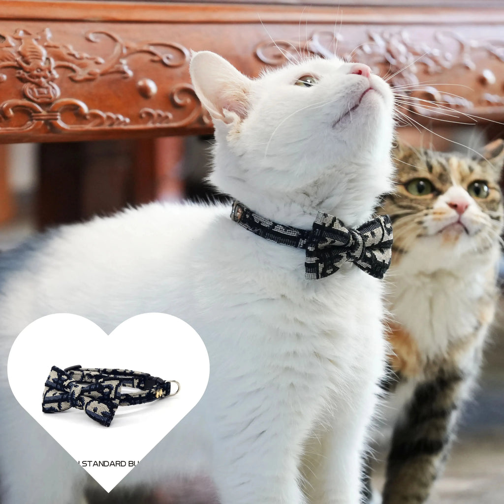 Collier Détachable et Laisse pour Chat et Chien