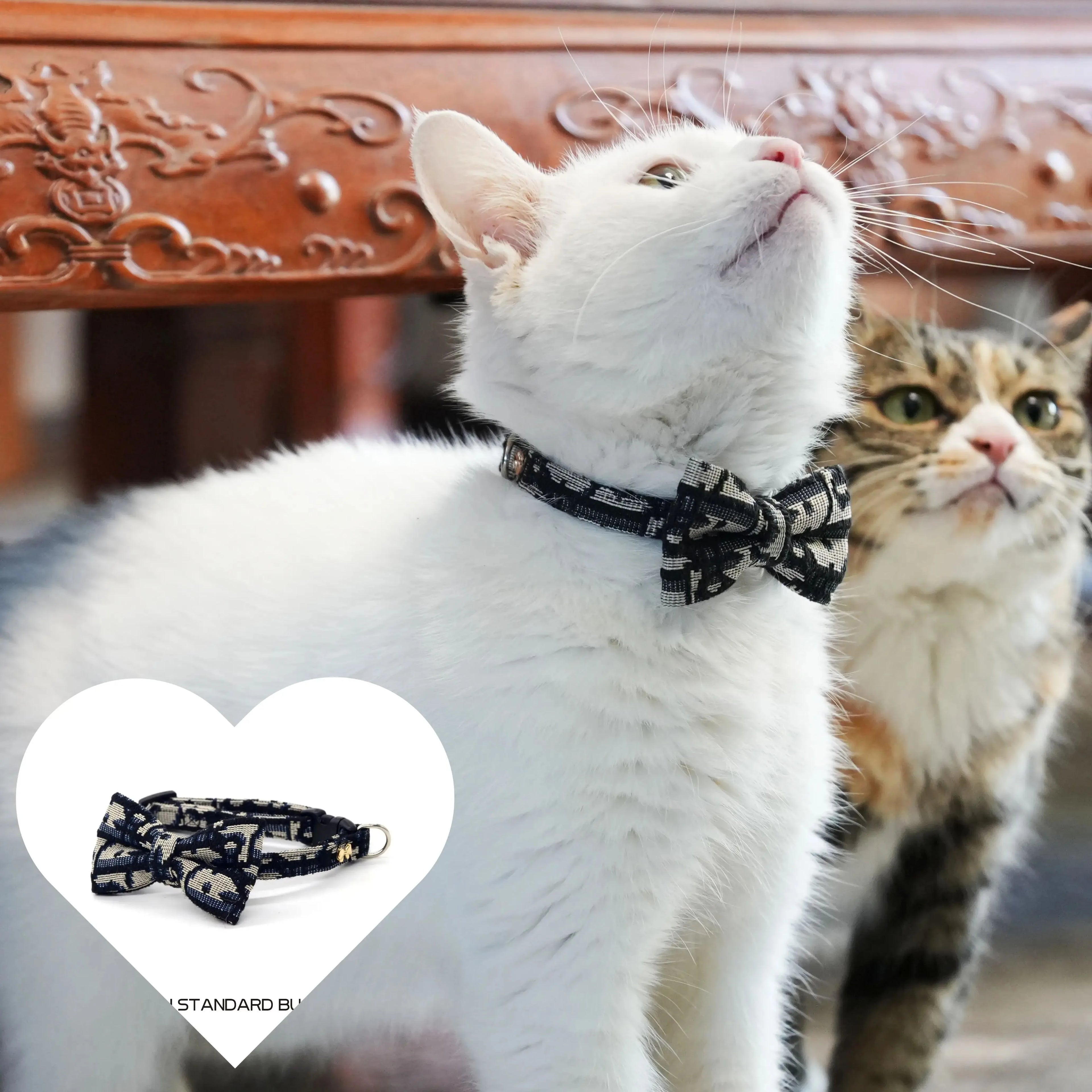 Collier Détachable et Laisse pour Chat et Chien