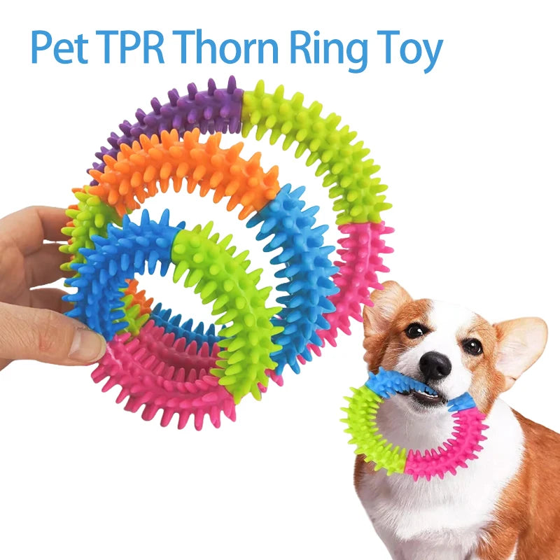 Jouet Frisbee Anneau à Picots Nettoyage Dentaire pour Chien