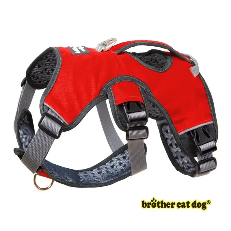 Harnais Gilet de Promenade Renforcé pour Grand Chien - Réfléchissant Rembourré