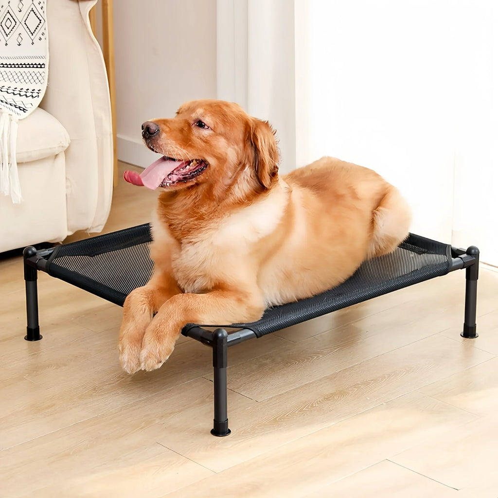 Lit Surélevé Pliable pour Chien et Chat