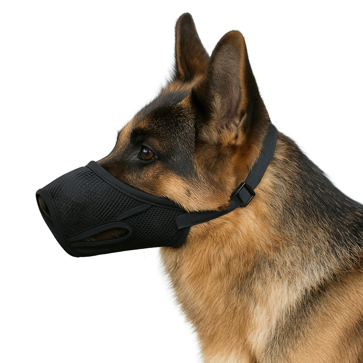 Muselière Anti-Fugue Alimentaire pour Chien
