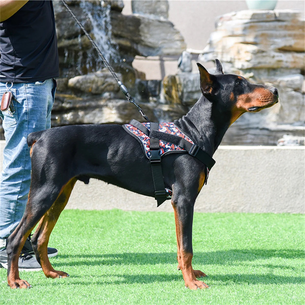 Harnais Réfléchissant Confort pour Chien