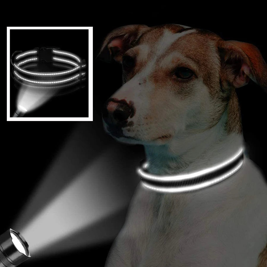 Collier Réfléchissant Rembourré pour Chien