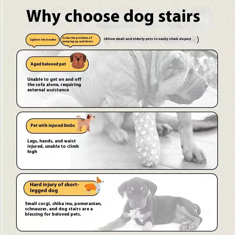Escalier pour Chien Forme d'Os - Confort Articulaire
