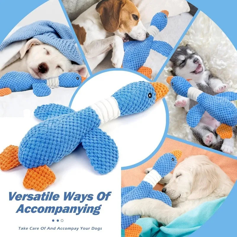 Jouet Peluche Interactif Anti-Mordillage pour Chien