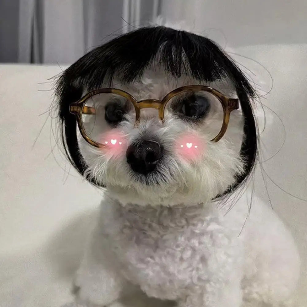 Perruque Déguisement Cosplay pour Chien et Chat