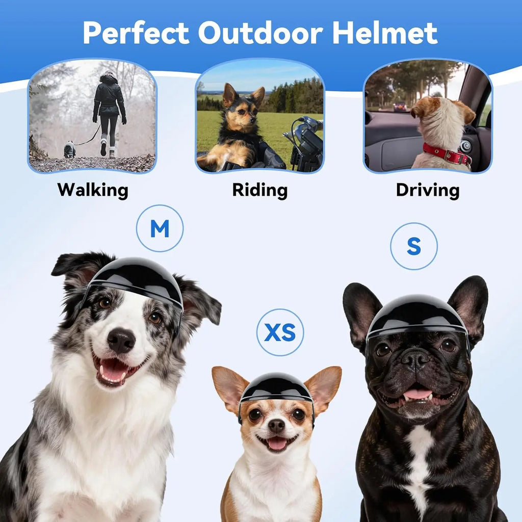 Casque de Moto et Lunettes de Protection pour Chien et Chat