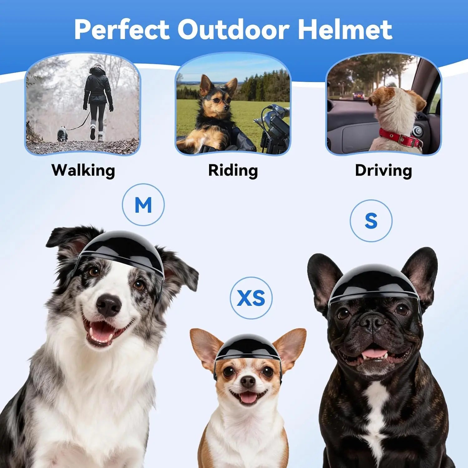 Casque de Moto et Lunettes de Protection pour Chien et Chat