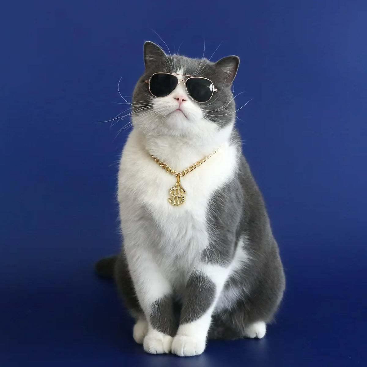 Collier Fantaisie Strass Doré pour Chien et Chat - Réglable