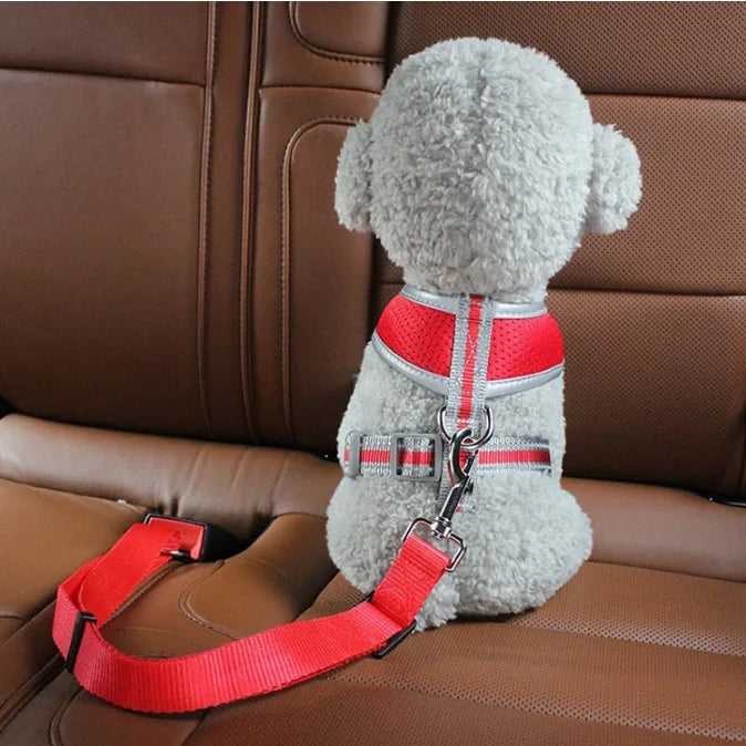 Harnais et Laisse Réglables avec Ceinture de Sécurité Voiture pour Chien et Chat