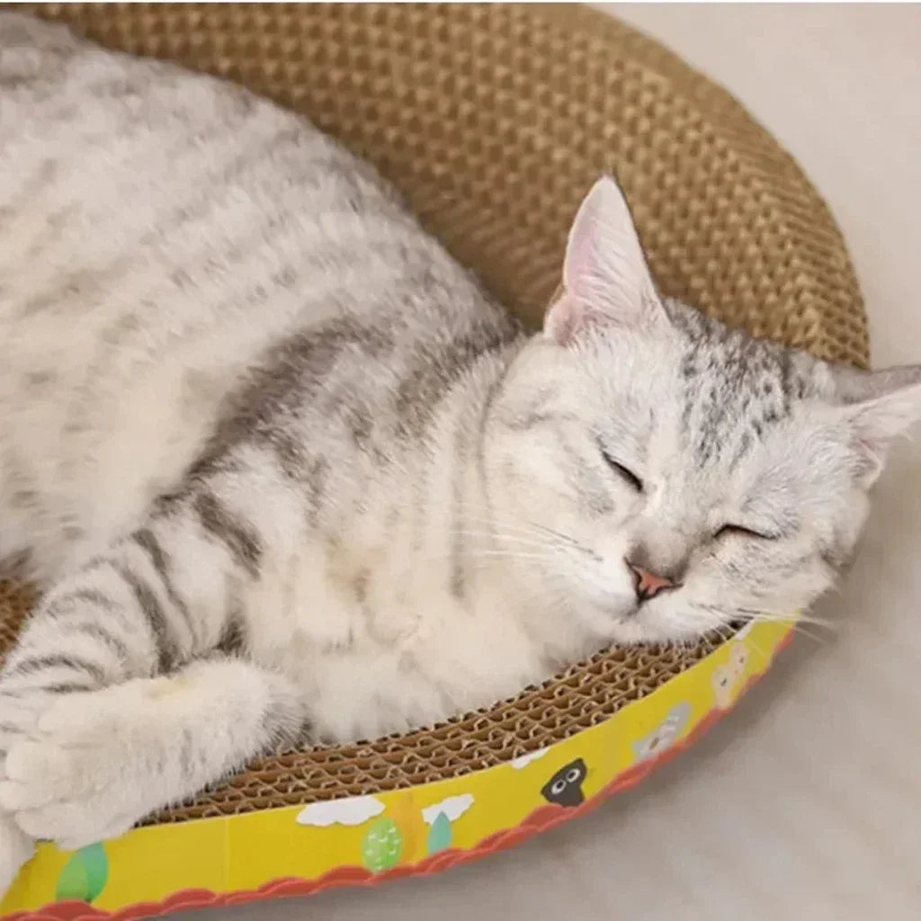 Griffoir Ovale en Carton Ondulé pour Chat
